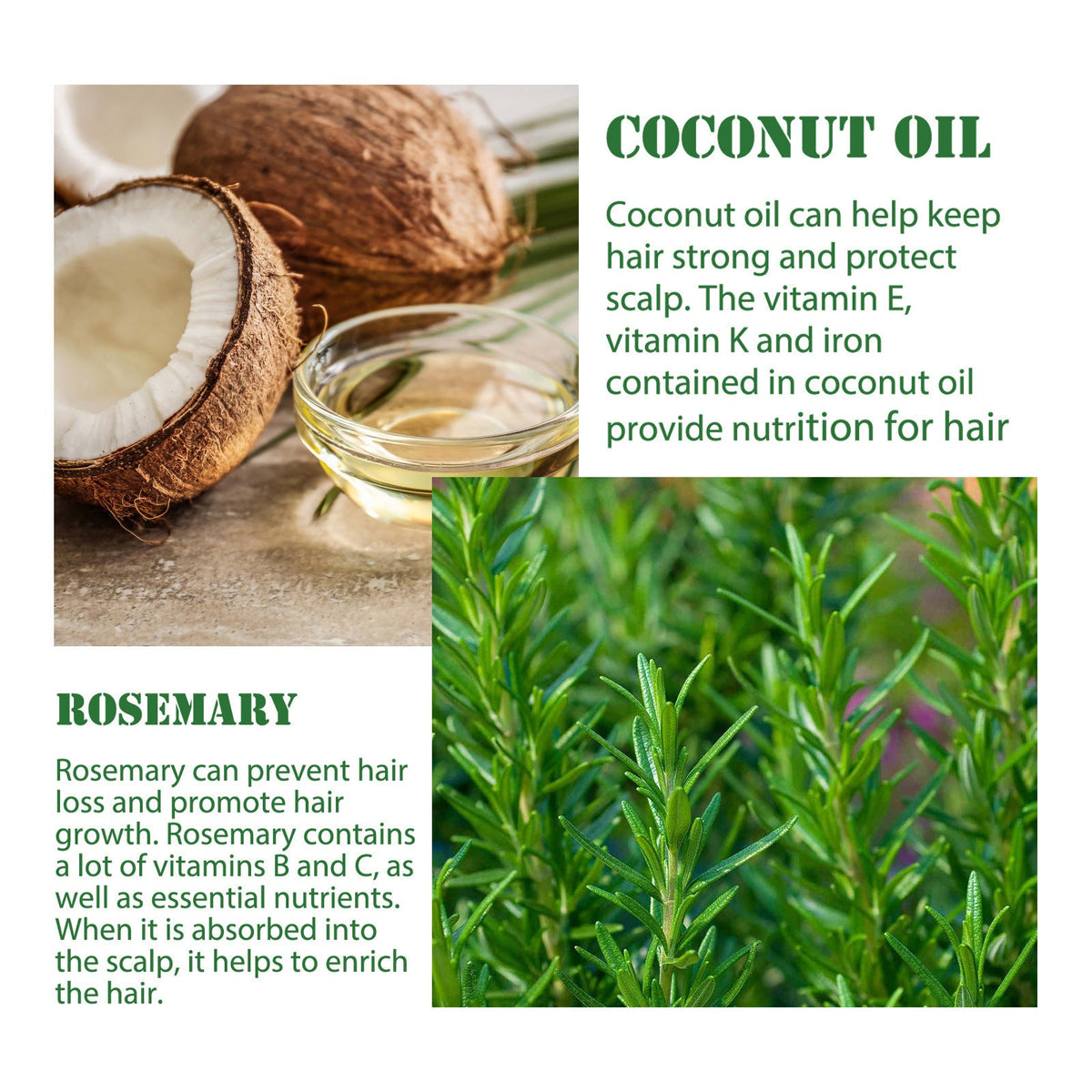 LOVILDS Rosemary Essential Oil – Strengthens Hair  Promotes Thicker Growth  Deeply Nourishing & Multi-Use for Scalp and Skin Care
